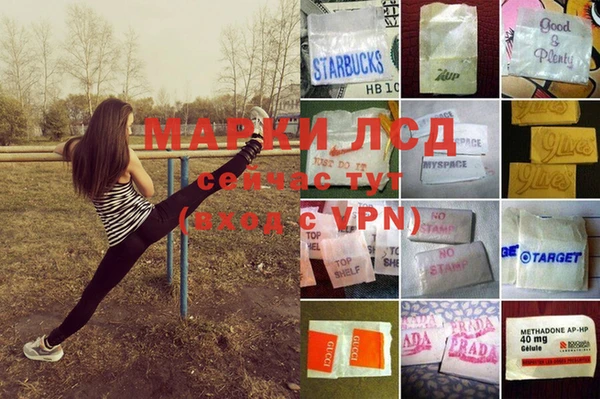 spice Алзамай