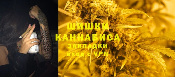 ГАЛЛЮЦИНОГЕННЫЕ ГРИБЫ Алексеевка