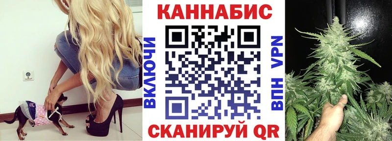 Марихуана гибрид  Удомля 